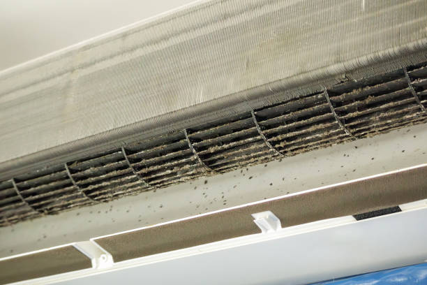 Best Professional Duct Cleaning Services  in Lake Mohegan, NY
